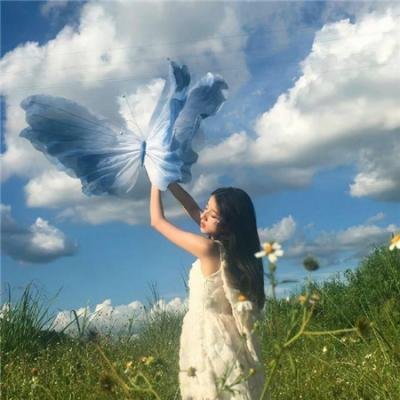 海豚伯尼2